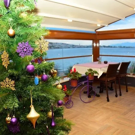 Focamor Bed and breakfast