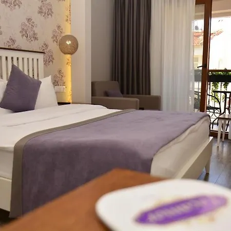 Focamor Bed and breakfast