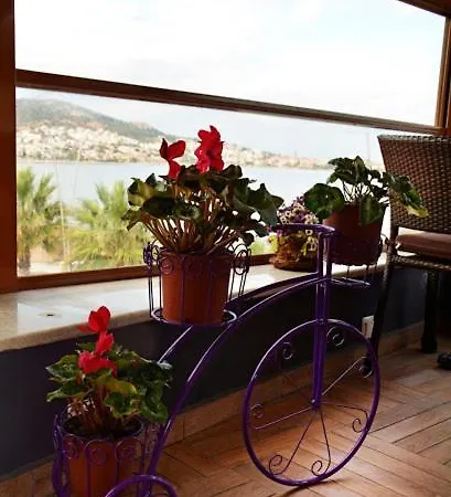 Focamor Bed & Breakfast Yenifoca