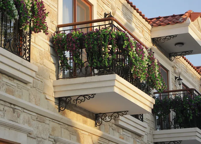 Bed & Breakfast Focamor