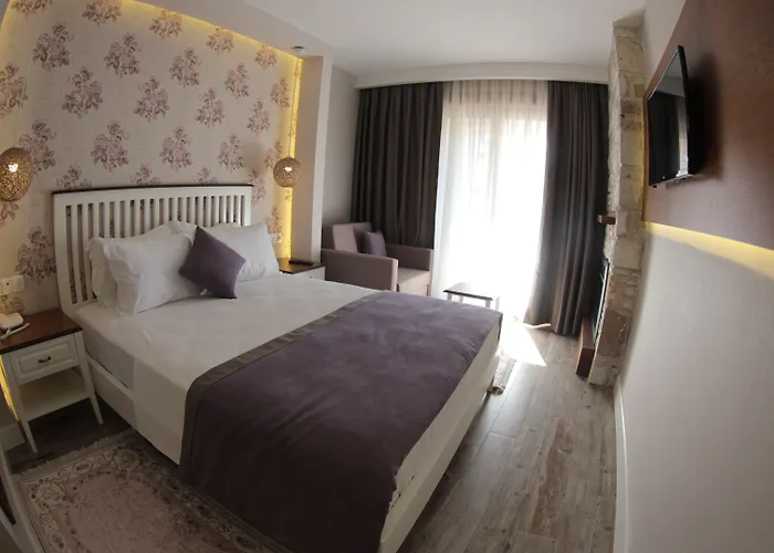 Bed & Breakfast Focamor