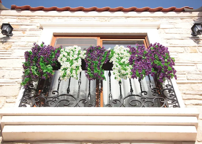 Bed & Breakfast Focamor Yenifoca