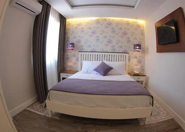 Bed & Breakfast Focamor 4*